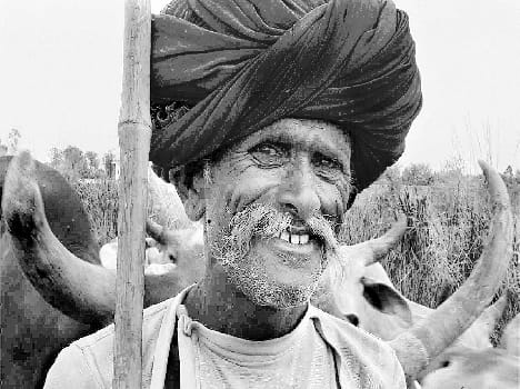 Twenty-four hours of a heart attack killed three farmers